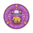 Delhi University image